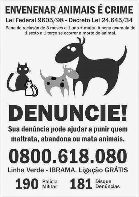 Direitos dos Animais - Foi assim que eu morri'' 😢💔 Comi um rato  envenenado Uma mulher encontrou-me. Tenho estado tão doente. Trouxe-me  para dentro para me manter quente. Abri os meus olhos